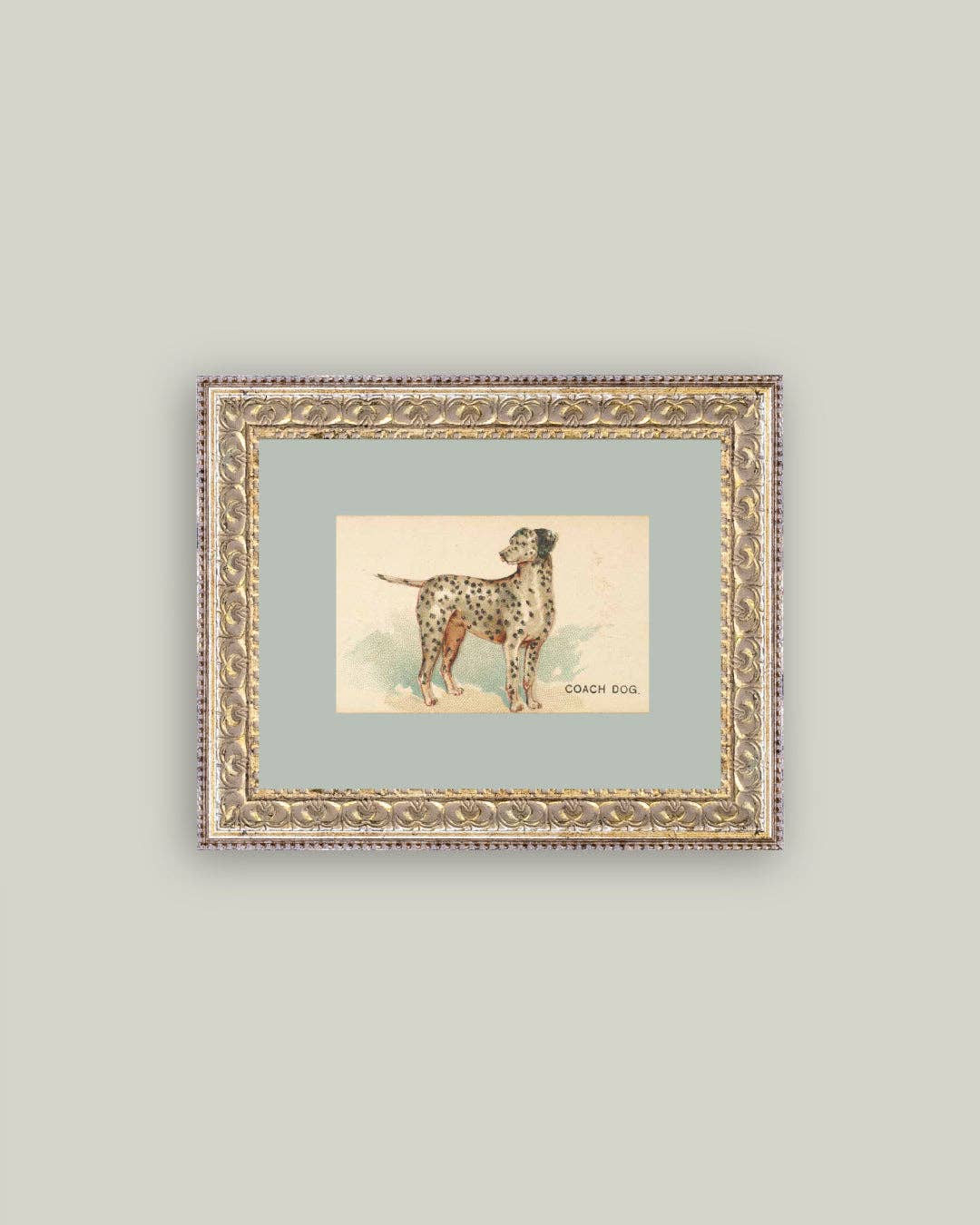 Dalmation Framed Antique Art-Blue Hand Home