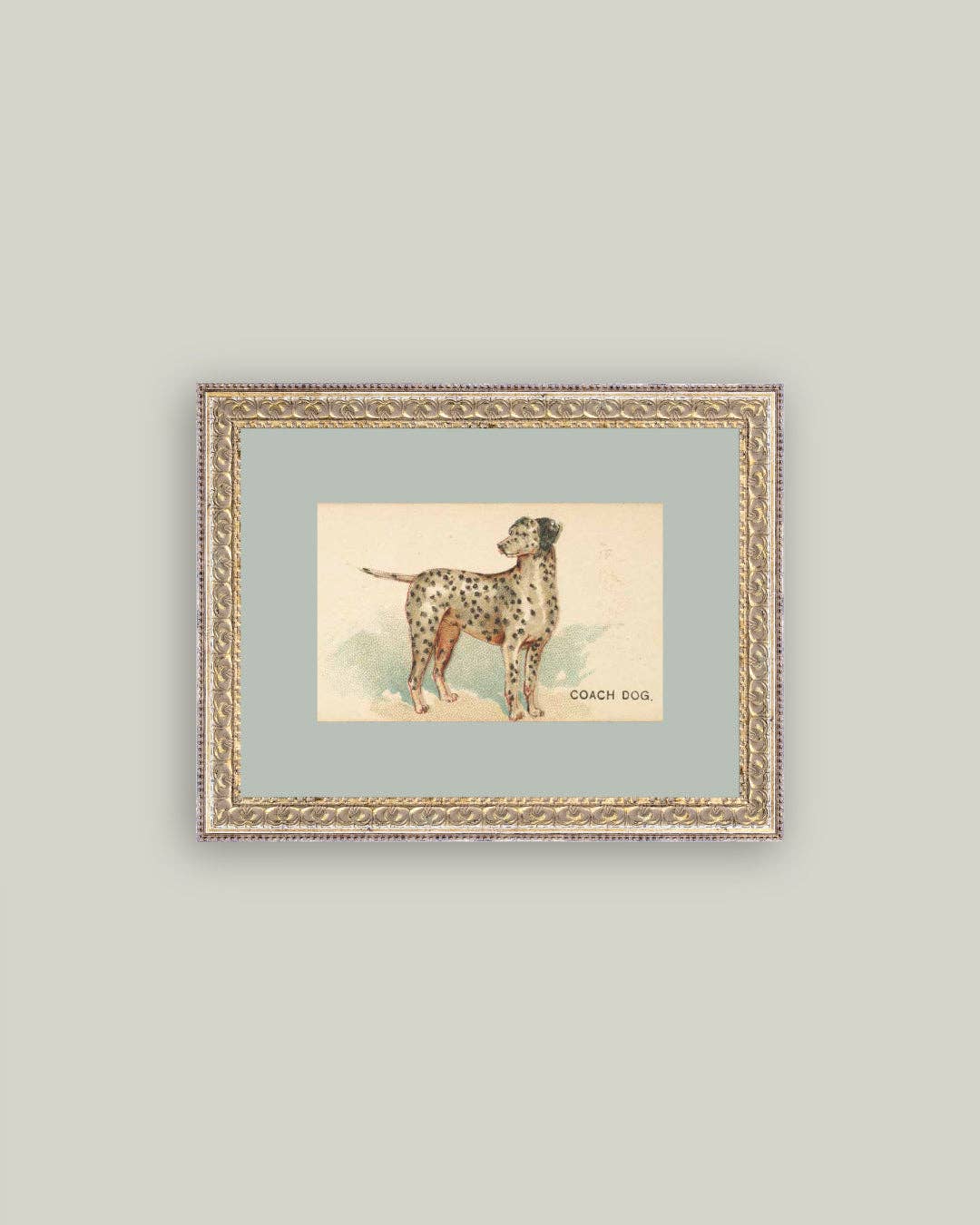 Dalmation Framed Antique Art-Blue Hand Home