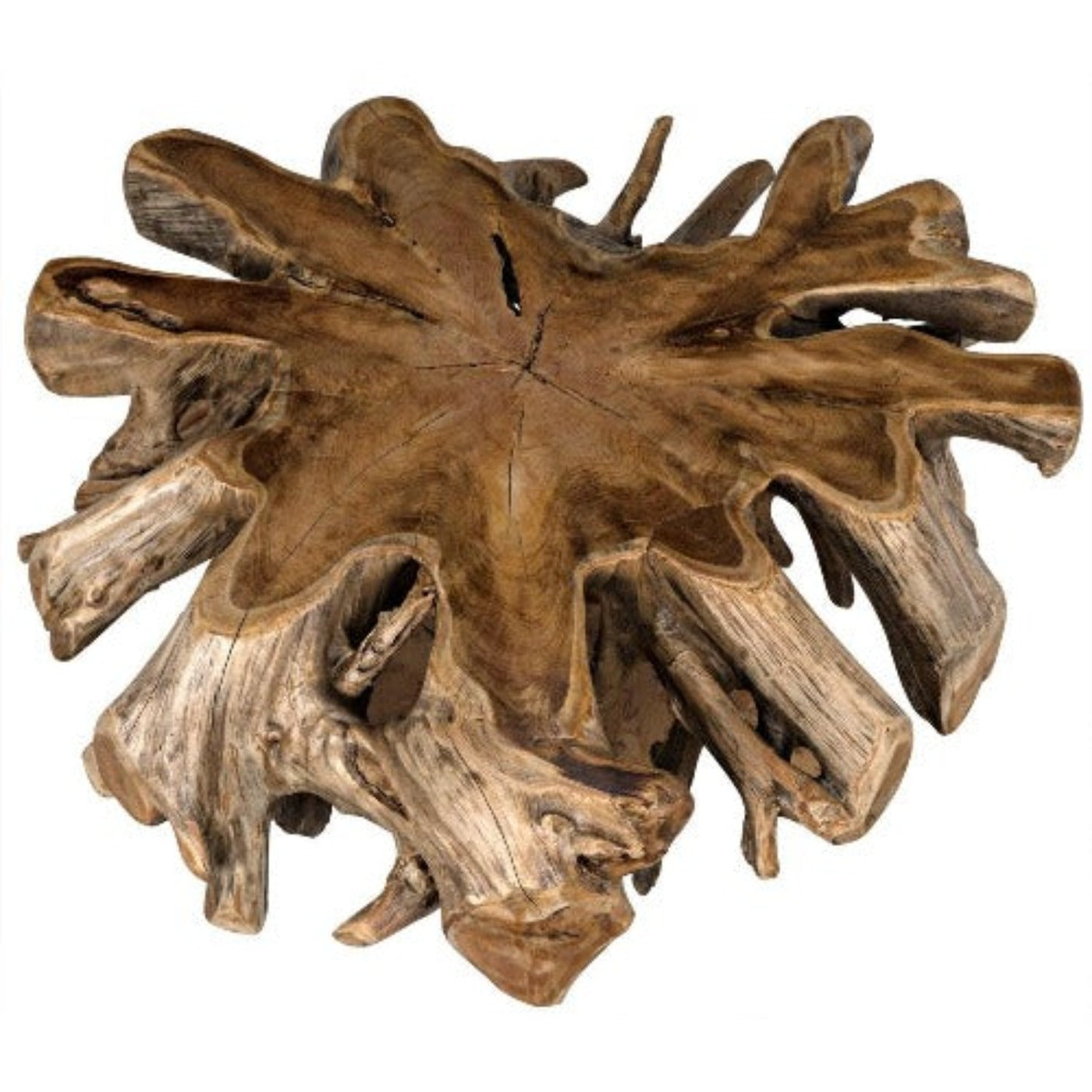 Noir Teak Root Coffee Table-Noir Furniture-Blue Hand Home